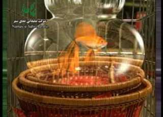 Shahrvand Chain Stores Inc Advertisment IRIB TV 2001