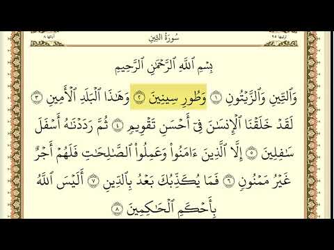 سورة التين مكررة 30 مرة ماهر المعيقلي سورة التين مكررة 30 مرة ماهر المعيقلي