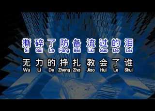 洋澜一 谁 Shui