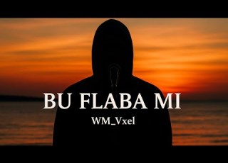 WM Vxel Bu Flaba Mi