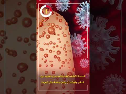 الصحة تكشف كيف ينتشر جدرى القرود بين البشر وتؤكد لن يكون جائحة مثل كورونا