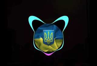 Наталя Бунь Ромашки білі