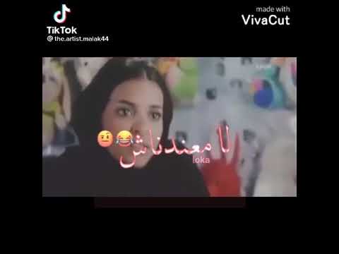 حالات واتس مطحكي عندكو شامبو ايه لا معندناش امال عندكم ايه دبديب