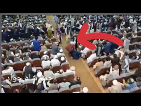 ویدو تازه از بلقیس روشن باج دهی به طالبان وحشی خیانت ملی است