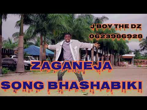 Zaganeja Song Bhashabiki New 2026