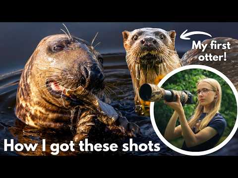Otter Und Robben Fotografieren Ich Konnte Mein Glück Kaum Fassen POV Video Zur Tierfotografie Otter Und Robben Fotografieren Ich Konnte Mein Glück Kaum Fassen POV Video Zur Tierfotografie