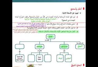 حل أسئلة صفحة 17 علوم الدماغ الجهاز العصبي عند الإنسان بكالوريا سوريا