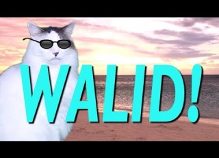 HAPPY BIRTHDAY WALID EPIC CAT Happy Birthday Song