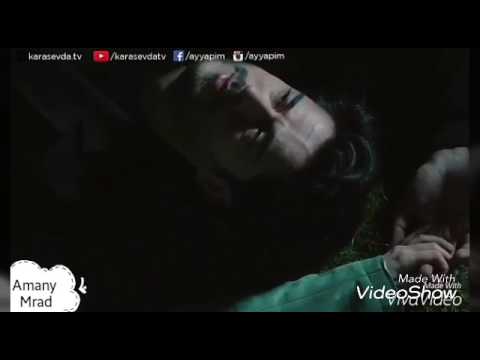 الحب زي الوتر نانسي عجرم