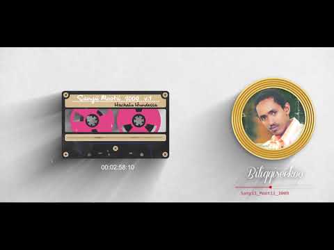 Hachalu Hundessa Biliqqiseekoo