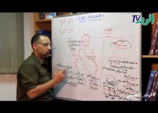  Explanation Of The Lesson On Mirrors And Lenses Science 3rd Preparatory