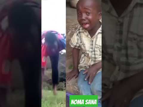 DOGO ANALIA AU ANACHEKA