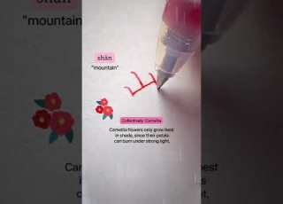  Camellia 7th Flower Of The Top 10 Chinese Mandarin Calligraphy Chinesewriting Language