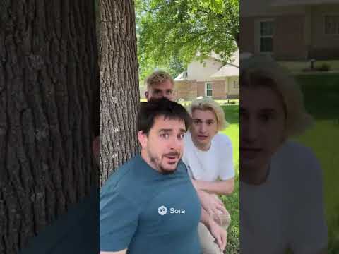 Lepidopterophobia Sora Soraai Ai Aivideo