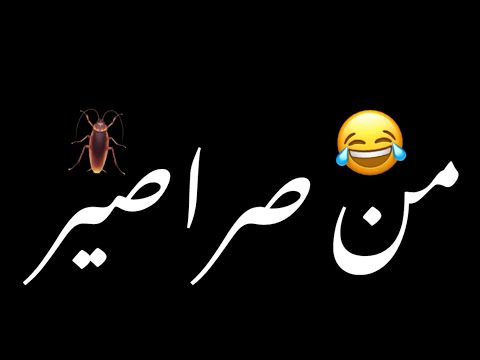 انا بخاف من صراصير اغاني شاشه سوداء حالات واتساب بدون حقوق ترند تيك توك اغاني ترند عراقيه 2025