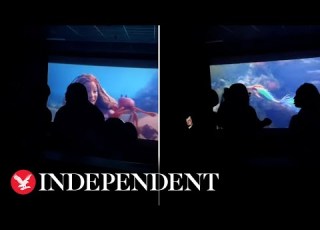  Fight Breaks Out In Cinema During The Little Mermaid Screening I Need A Refund