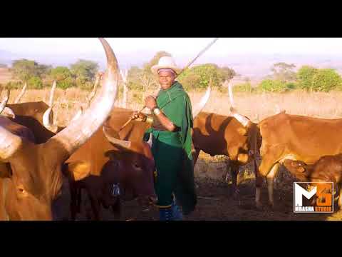 MADUKA NA JISINZA KUPANDISHA MBASHA STUDIO 2022