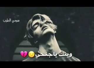  ولك وين يا جنحي طيحني جرحي
