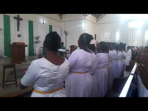 Mwanakondoo Wa Mungu Nyundo Kwaya Mtakatifu Agustino Ukonga