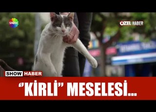 Kavgacı Kedi Kirli