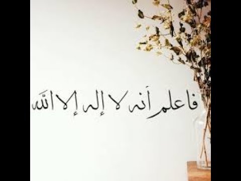 الشيح محمد المنتصر توحيد وحب ارشاد وانشاد