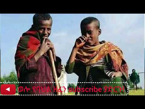 Aragaw Belay አራጋው በላይ ያሀሬ ልጅ ሞረሽ