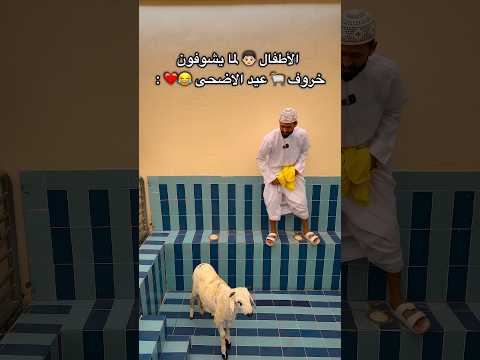 الأطفال لما يشوفون خروف عيد الأضحى اكسبلور Explore ضحك ترند السعودية