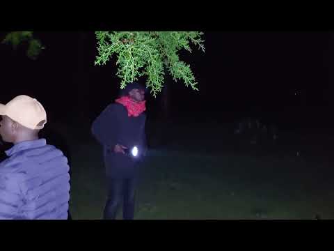 Kumbe Hii Msitu Si Mzuri These People Are Possesed