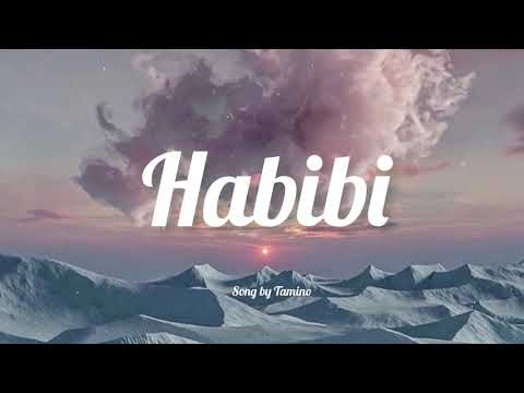 Habibi Remix Slowed Reverb One Hour