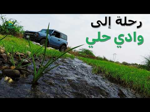 في قلب وادي حلي مناظر تأخذ الأنفاس