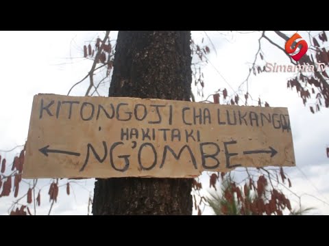 WAFUGAJI WAVAMIA ENEO LA WAKULIMA WAKULIMA WAKIMBIA KUOGOPA MAPIGANO NA KUCHOMEWA NYUMBA MOROGORO