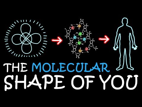 The Molecular Shape Of You Ed Sheeran Parody A Capella Science
