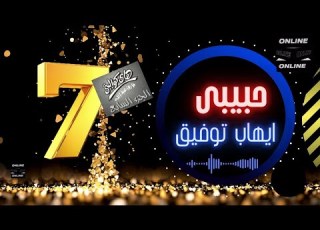 ايهاب توفيق حبيبى