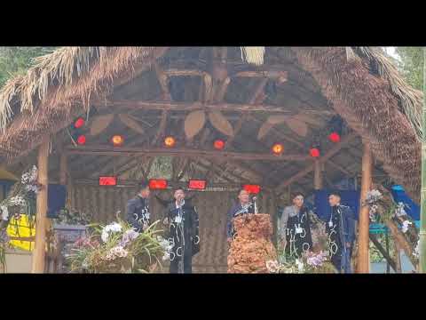 Changsangmongko Band Live Performances At CWS Conference Chang Chingmelen