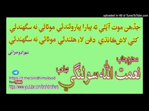 NAIMAT ULLAH SOLANGI