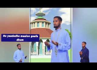 Farffanna Haaraawa Mootiidha Atii Mootii Bara Bara F Dawiti Kebede