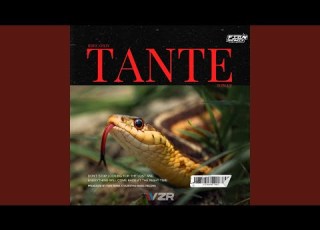 BBHC Oray Tante Toblut
