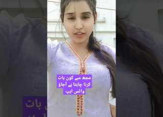 میں نے اپنا واٹس ایپ نمبر بائیو میں دیا ہے