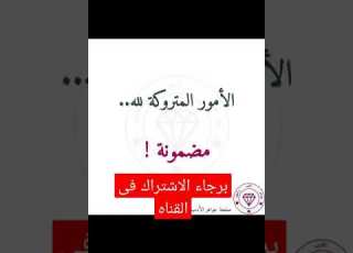  قصص للأطفال فديوهات