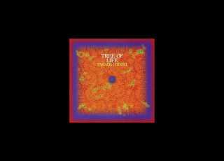  Midori Takada Tree Of Life Full Album