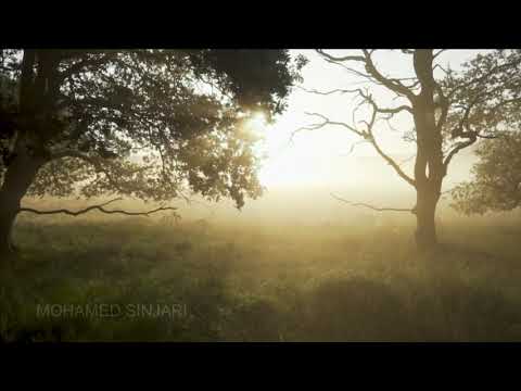 Mutlu Ol Yeter Ibrahim Tatlises Cover يكفي أن تكون سعيدا ابراهيم تاتلس عزف موسيقى Mutlu Ol Yeter Ibrahim Tatlises Cover يكفي أن تكون سعيدا ابراهيم تاتلس عزف موسيقى