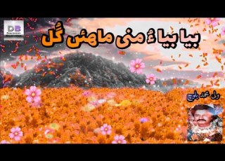 Beya Beya O Mani Mahen Gol بیا بیا ء منی ماھئں گ ل Wali Mohammad Baloch BalochiSongs DB