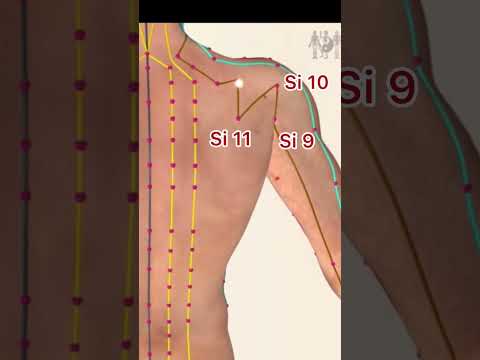 Small Intestine Meridian Acupuncture Points Acupuncturepoints Small Intestine Meridian Acupuncture Points Acupuncturepoints