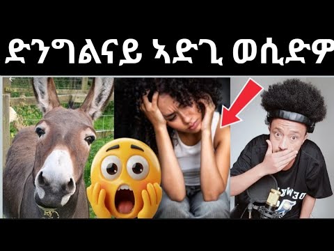 ድንግልናይ ን ኣድጊ ሂበዮ ኣኸር ዘመን