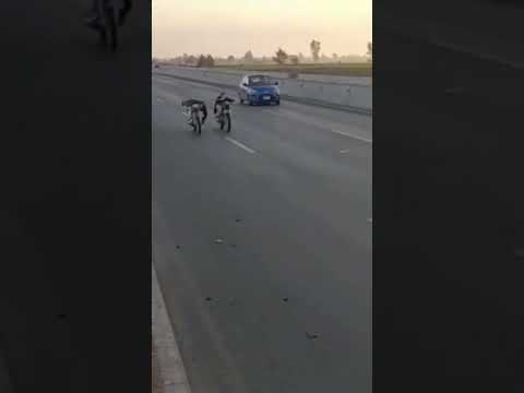 سباق مكن صيني طريق جمصه بلطيم