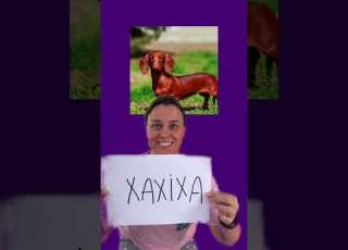 RAÇAS DE CÃES QUE SÓ EXISTEM NO BRASIL