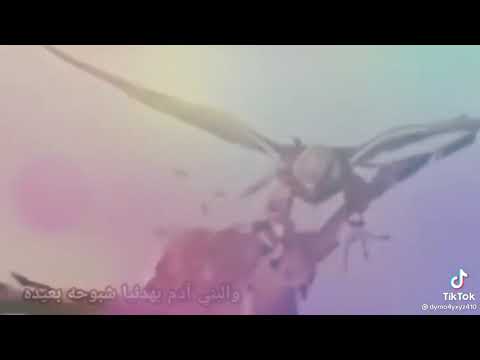 قصيدة روحت مع مهب الريح يا هملالي