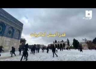  وطن حنون