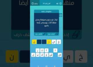 كلمات متقاطعة معلومات عامة نبات ذو جذوع مجوفة يصنع منها اثاث ويسمى أيضا بامبو