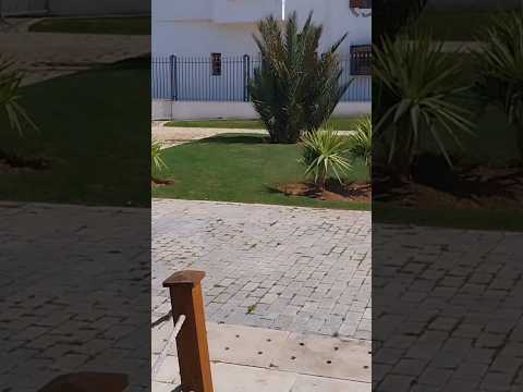 The Oldest Tannery In Rabat Travel Mainabpnewsdekhtahoon Beach Explore Beach Whowillbemylifepa